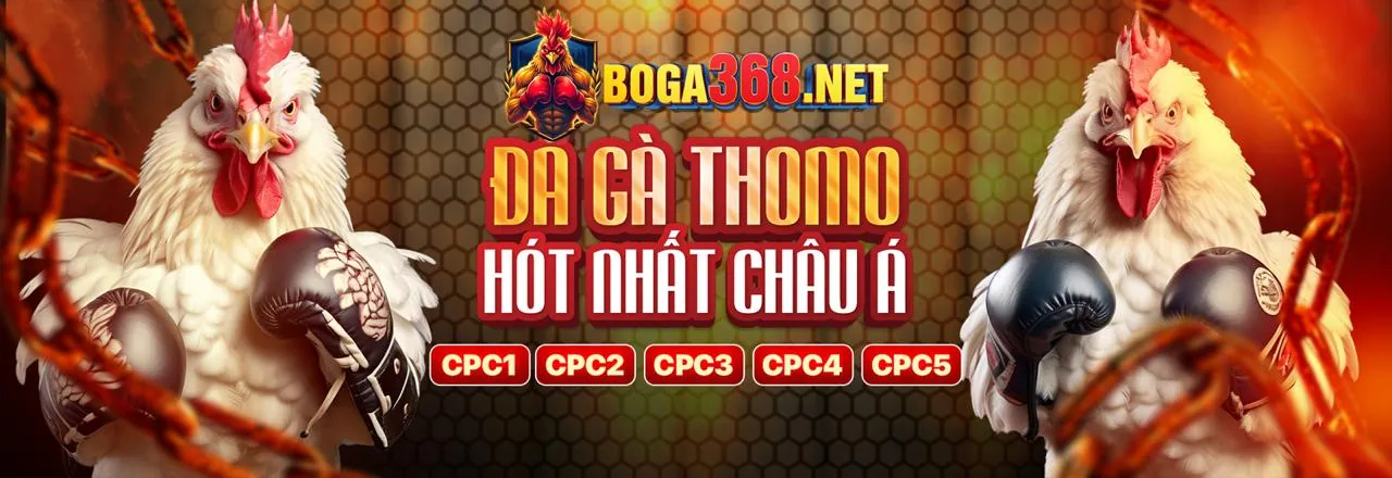 Sân đá gà trực tuyến sôi động tại K9CC Login