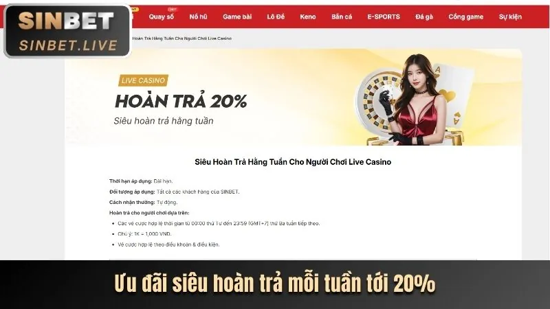 Chương trình VIP K9CC